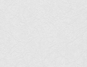 MPlus MalerPlus 2021 Tapete 94080